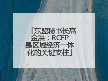 东盟秘书长高金洪：RCEP是区域经济一体化的关键支柱
