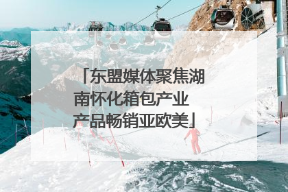 东盟媒体聚焦湖南怀化箱包产业 产品畅销亚欧美
