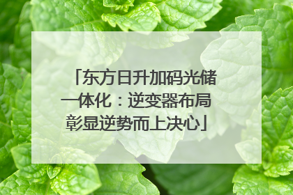 东方日升加码光储一体化：逆变器布局彰显逆势而上决心