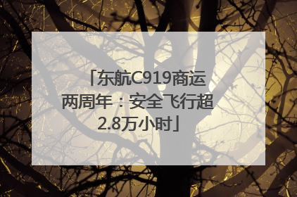 东航C919商运两周年：安全飞行超2.8万小时