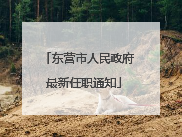 东营市人民政府最新任职通知