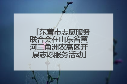 东营市志愿服务联合会在山东省黄河三角洲农高区开展志愿服务活动