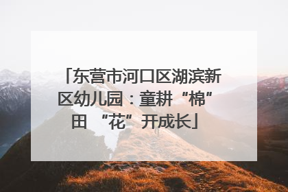 东营市河口区湖滨新区幼儿园：童耕“棉”田 “花”开成长