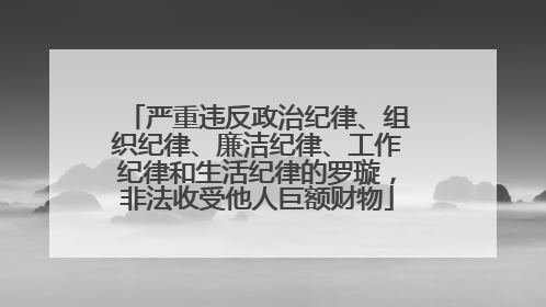 严重违反政治纪律、组织纪律、廉洁纪律、工作纪律和生活纪律的罗璇，非法收受他人巨额财物