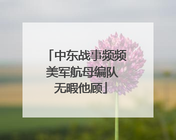 中东战事频频 美军航母编队无暇他顾