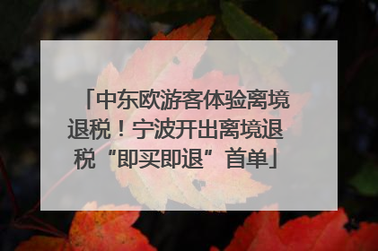 中东欧游客体验离境退税！宁波开出离境退税“即买即退”首单
