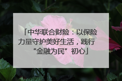 中华联合财险：以保险力量守护美好生活，践行“金融为民”初心