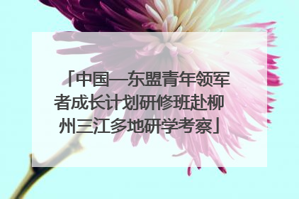 中国—东盟青年领军者成长计划研修班赴柳州三江多地研学考察