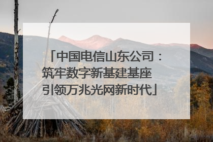 中国电信山东公司：筑牢数字新基建基座 引领万兆光网新时代