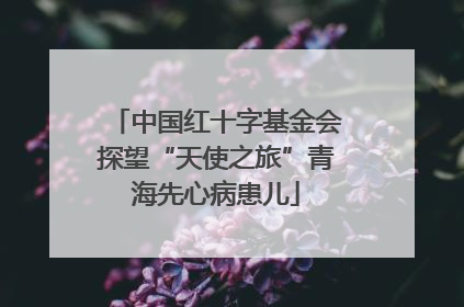 中国红十字基金会探望“天使之旅”青海先心病患儿