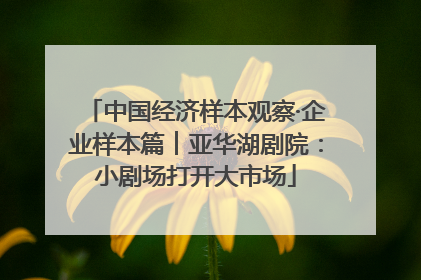 中国经济样本观察·企业样本篇︱亚华湖剧院：小剧场打开大市场