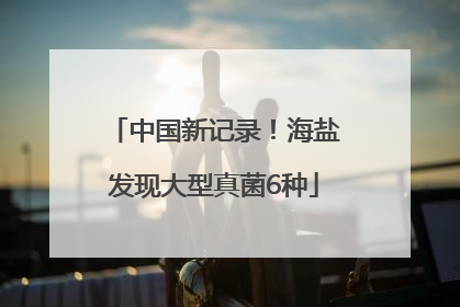 中国新记录！海盐发现大型真菌6种