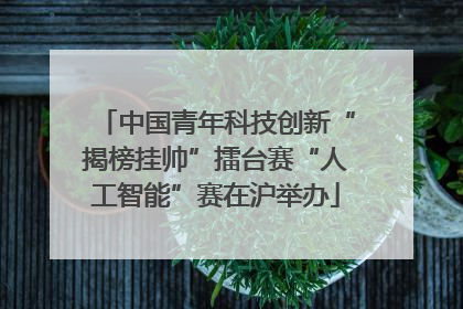 中国青年科技创新“揭榜挂帅”擂台赛“人工智能”赛在沪举办