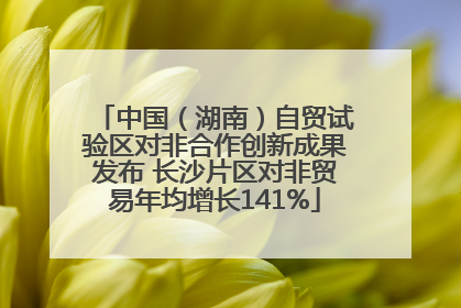 中国（湖南）自贸试验区对非合作创新成果发布 长沙片区对非贸易年均增长141%