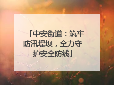 中安街道：筑牢防汛堤坝，全力守护安全防线