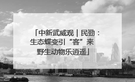 中新武威观｜民勤：生态蝶变引“客”来 野生动物乐逍遥