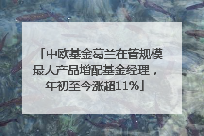 中欧基金葛兰在管规模最大产品增配基金经理，年初至今涨超11%