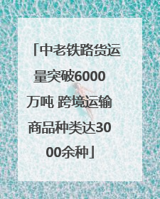 中老铁路货运量突破6000万吨 跨境运输商品种类达3000余种
