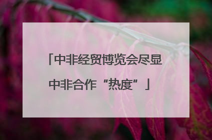中非经贸博览会尽显中非合作“热度”