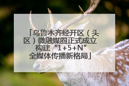 乌鲁木齐经开区（头区）微融媒圈正式成立 构建“1+5+N”全媒体传播新格局
