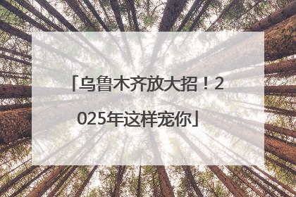 乌鲁木齐放大招！2025年这样宠你