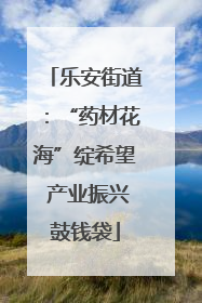 乐安街道：“药材花海”绽希望 产业振兴鼓钱袋