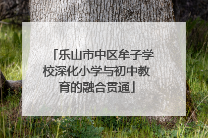乐山市中区牟子学校深化小学与初中教育的融合贯通