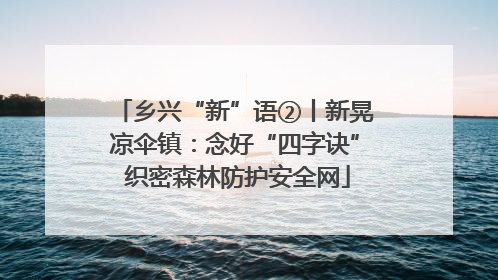 乡兴“新”语②丨新晃凉伞镇：念好“四字诀” 织密森林防护安全网
