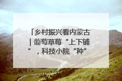 乡村振兴看内蒙古｜葡萄草莓“上下铺”，科技小院“种”出三倍效益
