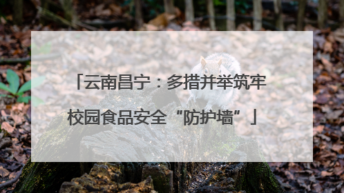 云南昌宁：多措并举筑牢校园食品安全“防护墙”