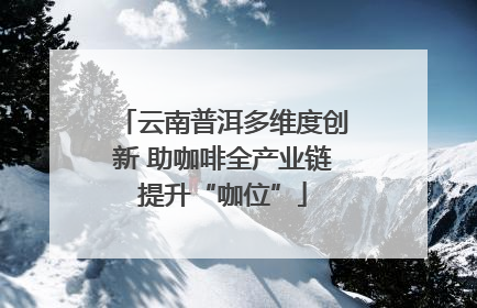 云南普洱多维度创新 助咖啡全产业链提升“咖位”