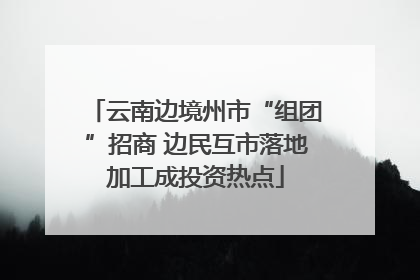 云南边境州市“组团”招商 边民互市落地加工成投资热点