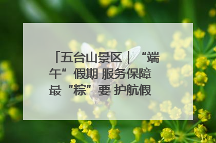 五台山景区｜“端午”假期 服务保障最“粽”要 护航假期“不打烊”