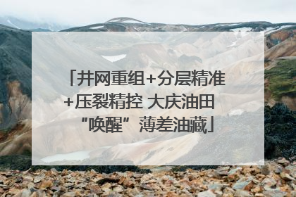 井网重组+分层精准+压裂精控 大庆油田“唤醒”薄差油藏
