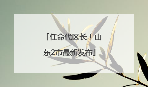 任命代区长！山东2市最新发布
