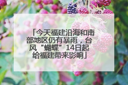 今天福建沿海和南部地区仍有暴雨，台风“蝴蝶”14日起给福建带来影响