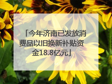 今年济南已发放消费品以旧换新补贴资金18.8亿元
