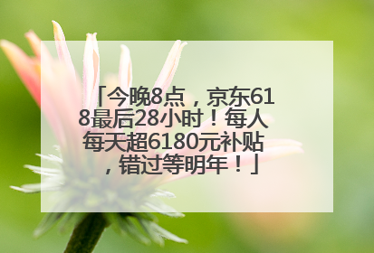 今晚8点，京东618最后28小时！每人每天超6180元补贴，错过等明年！