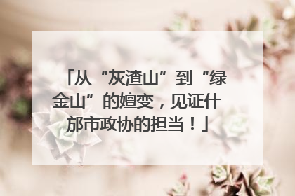 从“灰渣山”到“绿金山”的嬗变，见证什邡市政协的担当！