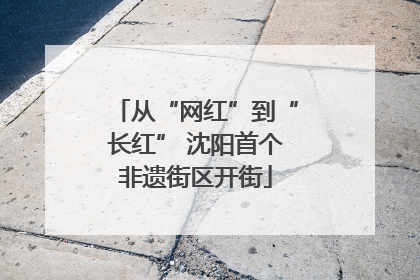 从“网红”到“长红” 沈阳首个非遗街区开街