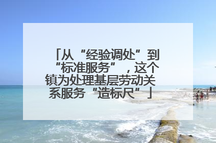 从“经验调处”到“标准服务”，这个镇为处理基层劳动关系服务“造标尺”