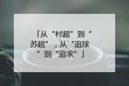 从“村超”到“苏超”，从“追球”到“追求”