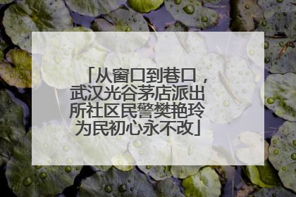 从窗口到巷口，武汉光谷茅店派出所社区民警樊艳玲为民初心永不改