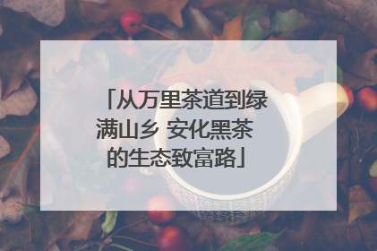 从万里茶道到绿满山乡 安化黑茶的生态致富路