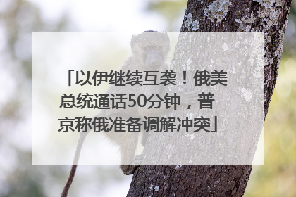 以伊继续互袭！俄美总统通话50分钟，普京称俄准备调解冲突