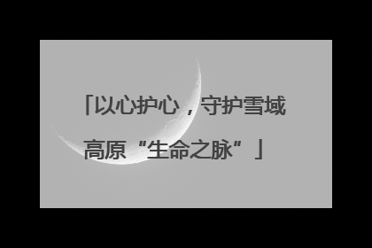 以心护心，守护雪域高原“生命之脉”