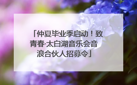 仲夏毕业季启动！致青春·太白湖音乐会音浪合伙人招募令