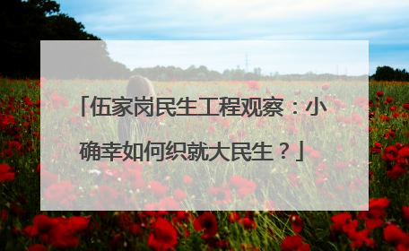 伍家岗民生工程观察：小确幸如何织就大民生？