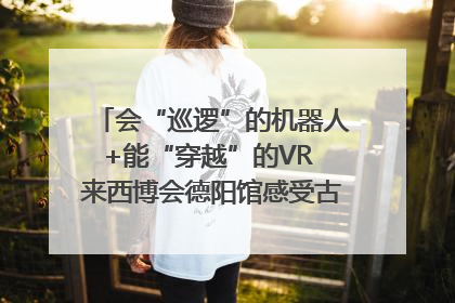 会“巡逻”的机器人+能“穿越”的VR 来西博会德阳馆感受古蜀文明与现代智造的时空对话｜西博视界