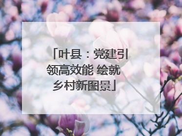 叶县：党建引领高效能 绘就乡村新图景
